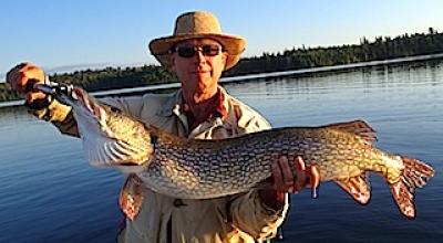 Over 40-inch Northern Pike Fishing at Fireside Lodge in Canada
