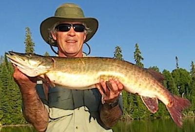 Consistant Fishing Muskie at Fireside Lodge in Canada