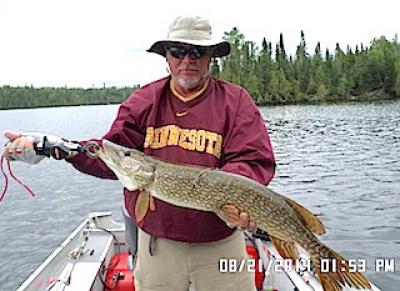 BIG Heavy Northern Pike Fishing at Fireside Lodge in Canada