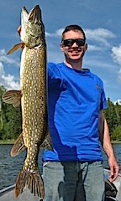 Many Pike Northern Pike Like This Fishing in Canada at Firesde Lodge