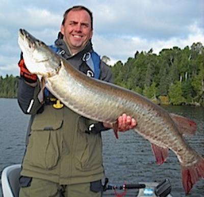 Super BIG Trophy Muskie Fishing at Fireside Lodge in Canada