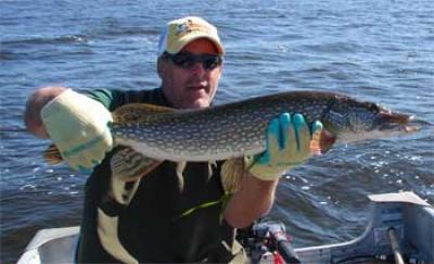 northern pike fisherman at ontario lodges
