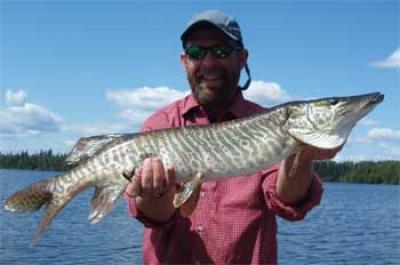 tiger muskie american plan lodge ontario