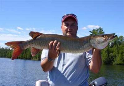muskie lakes with smallmouth bass