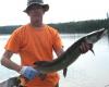 Terrific Musky Fishing in Canada at Fireside Lodge