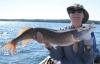 Summer Monster Northern Pike Fishing Canada