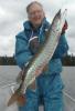 Great Spring Muskie caught in Canada
