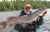 GREAT BIG Northern Pike Fishing in Canada