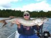 Fabulous Trophy Tiger Musky Fishing at Fireside Lodge Canada