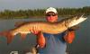 Huge Trophy Muskie Fishing at Fireside Lodge Canada