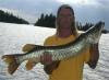 Great Tiger Muskie Fishing in Canada Fireside Lodge