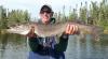 Trophy 40-inch Northern Pike Fishing in Canada Lakes