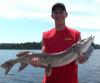 37.5-inch Northern Pike Fishing at Fireside Lodge Canada