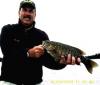 Catch Trophy Smallmouth Bass Fishing at Fireside Lodge Canada