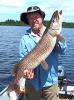 41.5 inch Trophy Northern Pike Fishing at Fireside Lodge Canada