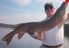 Trophy Northern Pike at Fireside Lodge Canada by Fran Stack