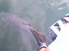Fran Stack Release of Trophy Northern Pike at Fireside Lodge Canada