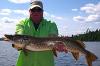 August Northern Pike Fishing is Terrific at Fireside Lodge in Canada