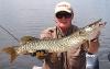 Mid Summer Tiger Musky Fishing at Fireside Lodge in Canada