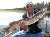 Super August Northern Pike Fishing at Fireside Lodge in Canada