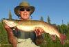 Consistant Fishing Muskie at Fireside Lodge in Canada
