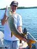 Trophy Tiger Musky Fishing at Fireside Lodge in Canada