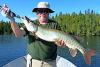 Summer Day Muskie Fishing at Fireside Lodge in Canada