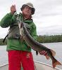 Big Muskie are a Thrill Fishing at Fireside Lodge in Canada