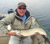 Heavy Trophy Muskie Fishing at Fireside Lodge in Canada