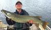 Common Muskie Fishing at Fireside Lodge in Ontario Canada