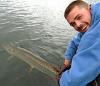 Trophy Tiger Muskie Release Fishing at Fireside Lodge in Canada