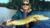 Open Water Northern Pike Fishing at Fireside Lodge in Canada
