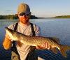 Tiger Muskie Fishing is Amazing at Fireside Lodge in Canada