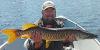 Brute Tiger Muskie Fishing at Fireside Lodge in Canada