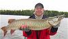 Show ME BIG Muskie Fishing at Fireside Lodge in Canada