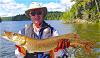 Chasing BIG Northern Pike Fishing at Fireside Lodge in Canada