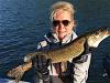 Nice Looking Pike Fishing at Fireside Lodge in Canada