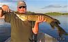 Sun Summer BIG Northern Pike Fishing at Fireside Lodge in Canada
