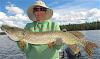 Big Northern Pike on Worm Fishing at Fireside Lodge in Canada