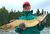 Heavy Fall Northern Pike Fishing at Fireside Lodge in Canada