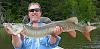 Great Big Muskie Catch Fishing at Fireside Lodge in Canada