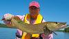 Fishing BIG Northern Pike in Pink at Fireside Lodge in Canada