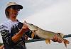 Fat Average Pike Fishing at Fireside Lodge in Canada