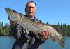 Hefty BIG Tiger Muskie Fishing at Fireside Lodge in Canada