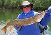 Many BIG Spring Northern Pike Fishing at Fireside Lodge in Ontario Canada