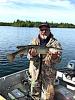 Musky are Great Fishing at Fireside Lodge in Ontario Canada