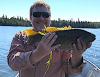Trophy Smallmouth Bass in Fall Sunshine at Fireside Lodge in Ontario Canada