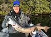 HUGE Early Season Trophy Muskie Fishing at Fireside Lodge in Ontario Canada