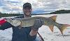 7 BIG Muskie in 5 Days Fishing at Fireside Lodge in Ontario Canada