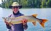Abundant Trophy Muskie Fishing at Fireside Lodge in Northwest Ontario Canada